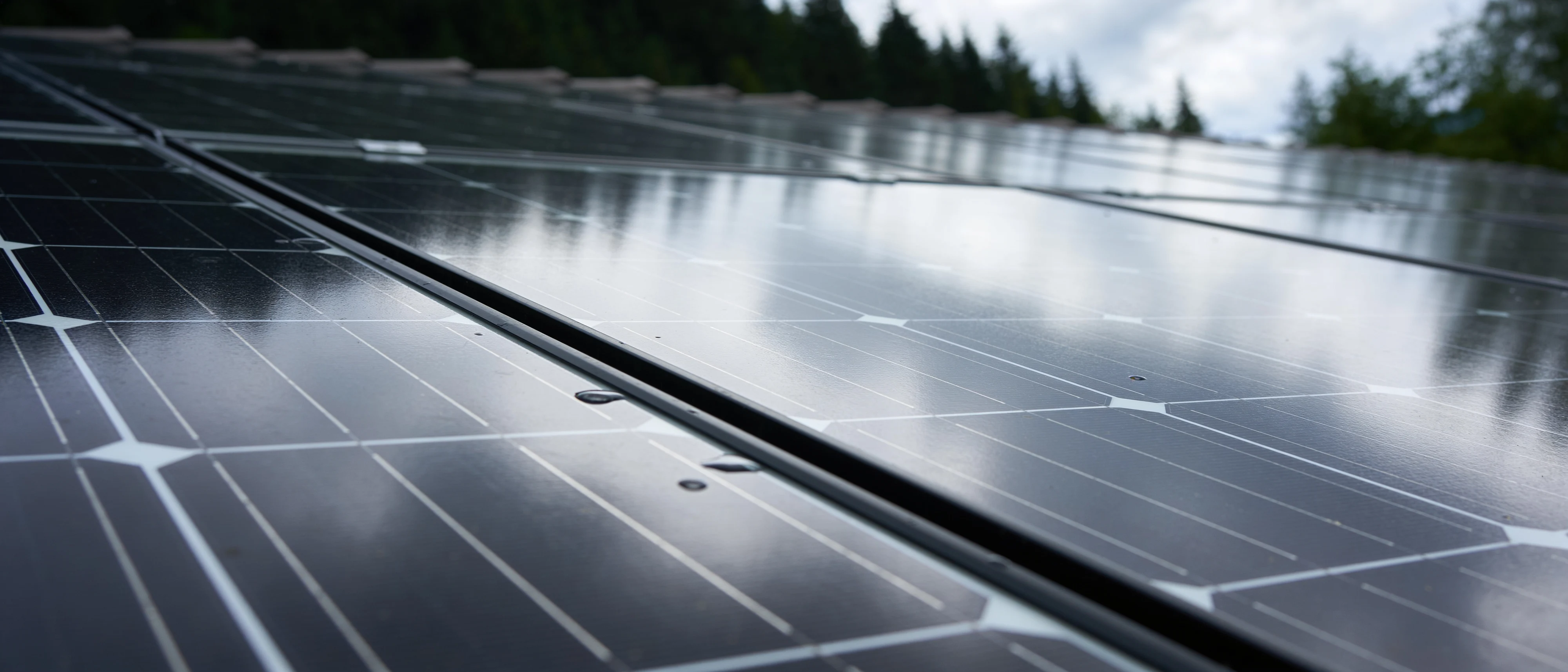 Monokristalline Solarmodule mit Regentropfen auf einem Dach, im Hintergrund Bäume
